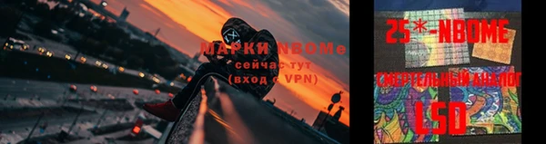 стафф Михайловск