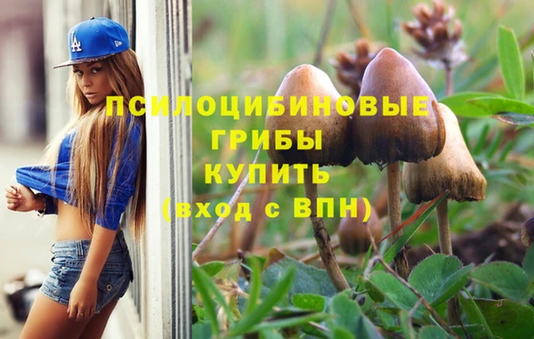 каннабис Михайловка