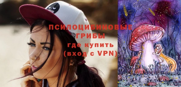 стафф Михайловск