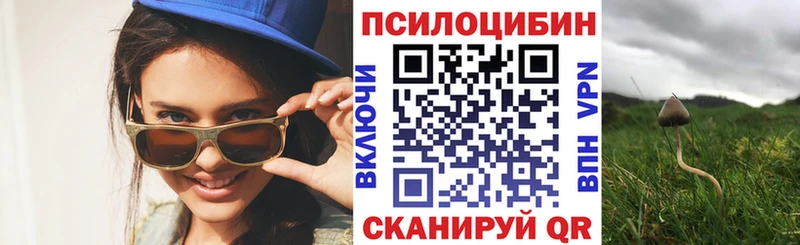 Галлюциногенные грибы Cubensis  Волжский 