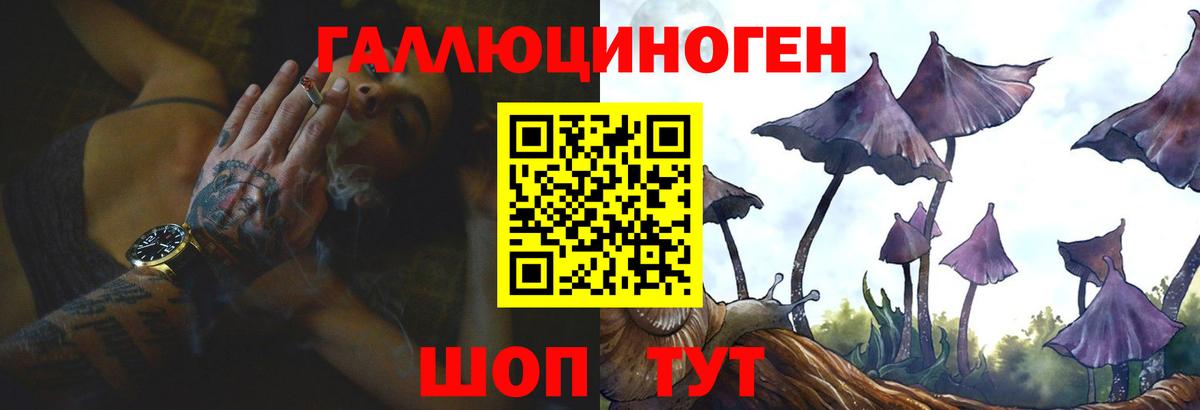 Галлюциногенные грибы Cubensis  Псилоцибиновые грибы прущие грибы  Вход с VPN  Волжский 